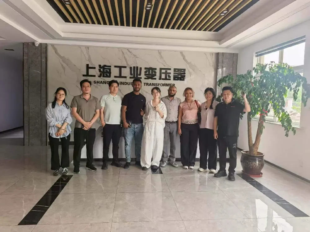 Selamat Datang! Delegasi Ethiopia Melawat Shanghai Industrial Transformer Co., Ltd. untuk Pertukaran Transformers & Peralatan Pengagihan Kuasa